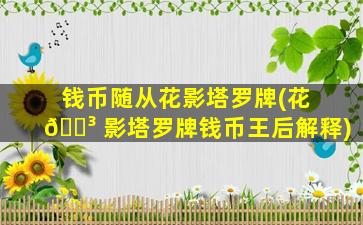 钱币随从花影塔罗牌(花 🌳 影塔罗牌钱币王后解释)